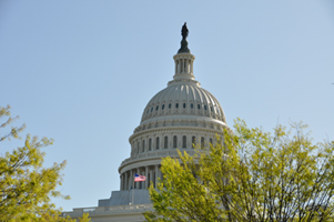 Capitol Hill Leg Forum