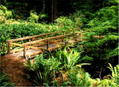 California State Parks