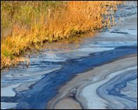 Oil Spill