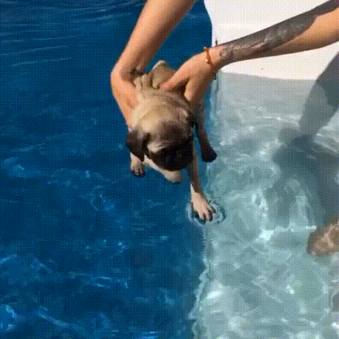 1.22.16_blog_fitness_swimming