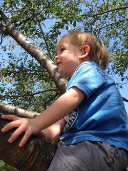 Blog-Free-Play-in-Parks-Climb-Trees