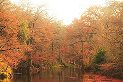 Texas State Park Image