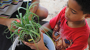 Be Inspired FL Miami