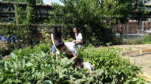 Be Inspired NY New York