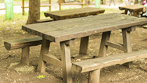 Be Inspired PA Philadelphia Bench