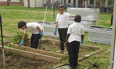 Community gardens provide essential food education to youngsters and offer a beneficial outlet for practical creativity.