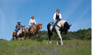 A recent study helps explore the motivations and conflicts in recreational horseback riding.