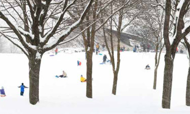 A Nebraska court considers the level of responsibility an Omaha park holds in the injury of a young sledder after failing to remove trees deemed to be a potential danger.