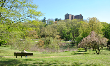 Philadelphia parks are crucial to the city's water management system.