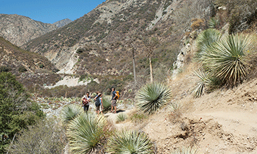 The San Gabriels National Monument includes 346,177 acres of national forest land.
