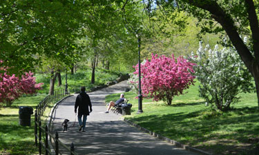 This springtime setting shows a different side of New York City’s Morningside Park than was portrayed in the August 2014 issue.