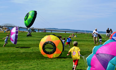 Hundreds of kids and adults in Washington state turn out annually to Chambers Creek Regional Park’s fun kite festival.
