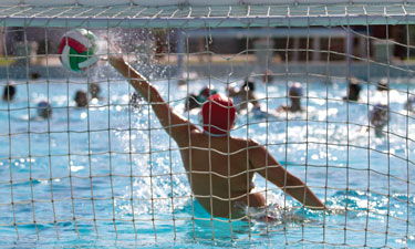 Including water polo as part of your agency's service offerings could be a welcome addition to your members' overall fitness routine and a way to generate more revenue.