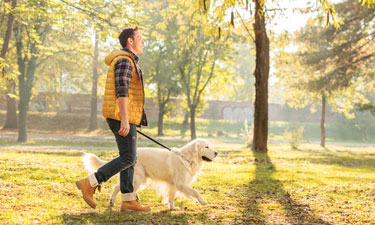 Whether or not they’re battling weight problems, dogs and their owners can enjoy much healthier lifestyles just by taking daily walks together. 