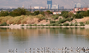 Green infrastructure, such as this evaporation pond, can inadvertently fill the dual role of being an important water management feature while providing a much needed community open space resource.