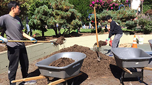 Meet Me at the Park 2018 Winner CA San Francisco