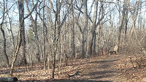 Meet Me at the Park 2018 Winner PA Philadelphia