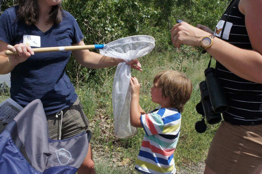 Participants of all ages observed, identified, and recorded their findings through the iNaturalist app, contributing to a larger body of research. Image Credit Dig Studio.