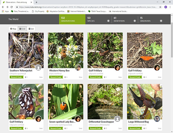 iNaturalist iNaturalist