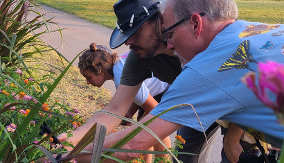 Parks for Pollinators BioBlitz