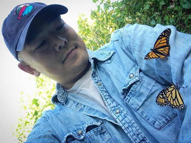 Week 2 Winner: Monarchs by Francis Mendoza