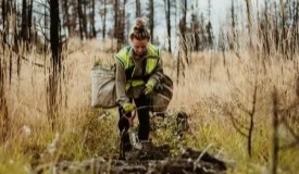 Essential Roles in Conservation Efforts