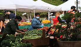 Increasing Access to Locally Grown Food
