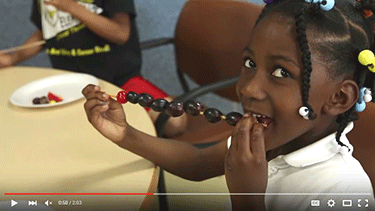 CTH_Video_Screen_Capture350