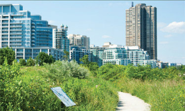A trail winds through a Toronto city park.