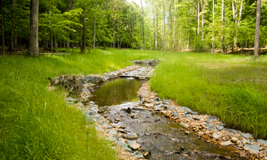 Mitigation banking allows parks to restore streams and wetlands at no cost to taxpayers.