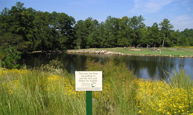 Converting high-maintenance turf areas to native grasses and wildflowers can reduce water use, prevent erosion, improve water quality and provide valuable habitats.