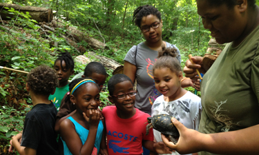 A close-up look at a box turtle is a first for these hesitant but curious kids in Baltimore’s Leakin Park, a 1,200-acre urban wilderness in Baltimore City. Photo: Mary Hardcastle.