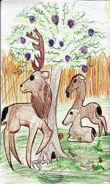 Eight-year-old Autumn's entry for the Get to Know Your Wild Neighbor 2013 Art Contest and Exhibition shows deer she sees around her Maryland home.