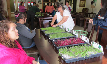 In Hannahville, teens and elders taste test microgreens planted, cared for and set up by summer program youth.
