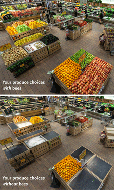 This striking image shows what  your produce aisle might look like without help from honeybees. CREDIT: Whole Foods Market