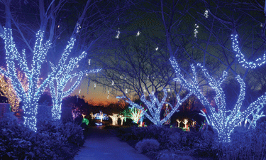 Meadowlark’s Winter Walk of Lights is a testament to how a little creative thinking can transform a one-season park into a year-round attraction.