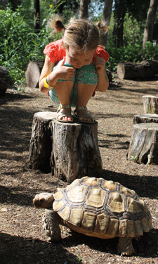 This month's cover photo, Girl With Tortoise, was submitted by NRPA member city McAllen, Texas, and chosen by popular vote in our Parks & Recreation cover contest.