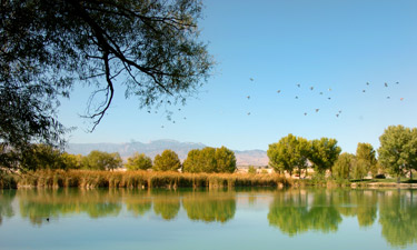 The 680-acre Floyd Lamb Park, pictured here, is a welcome oasis in the desert of northwest Las Vegas. 
