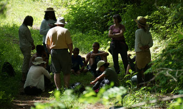 Forest therapy walks allow participants quiet time in nature for reflection, connection and sharing.