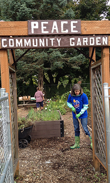 Portland Parks Commissioner Amanda Fritz rolled up her sleeves for Parke Diem. Portland Parks Commissioner Amanda Fritz rolled up her sleeves for Parke Diem.